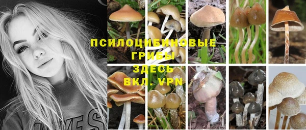 спайс Волоколамск