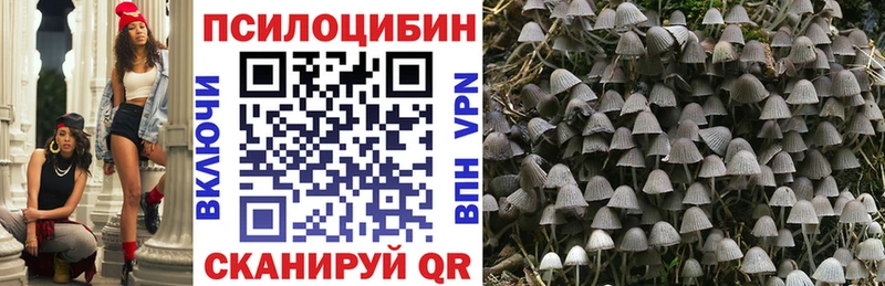Купить где  Салават  Псилоцибиновые грибы Cubensis 